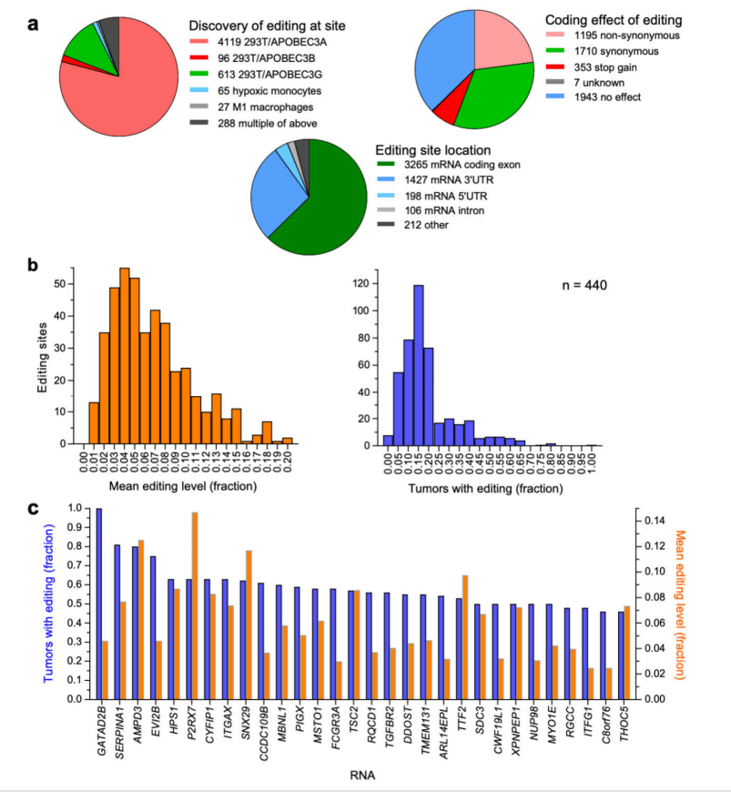 如何做肿瘤免疫微环境的研究?这篇文章会告诉你!